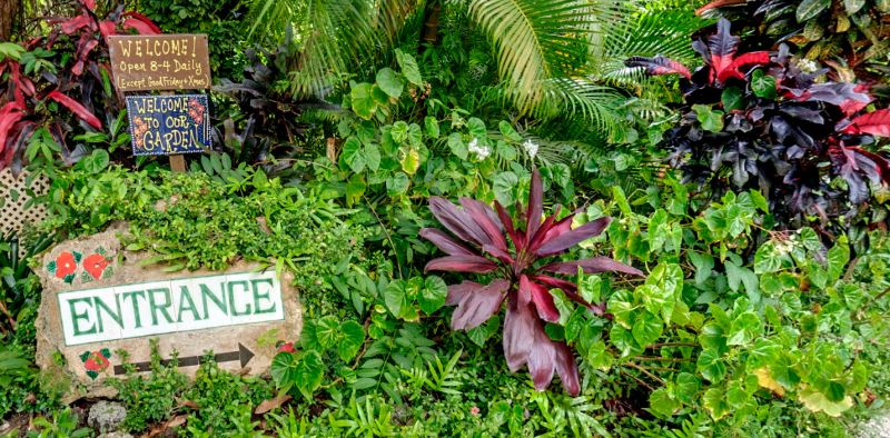 Flower Forest Virtual Tour