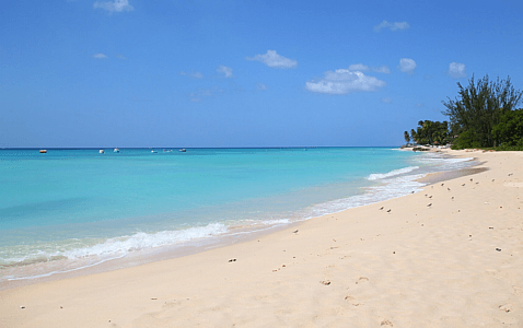 Barbados Beach Bot